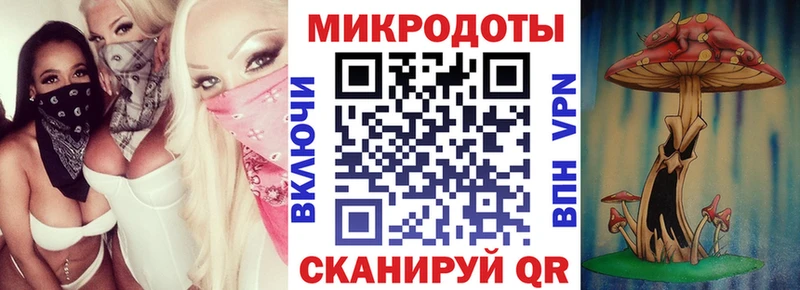 mega ссылка Сковородино Псилоцибиновые грибы мицелий где продают