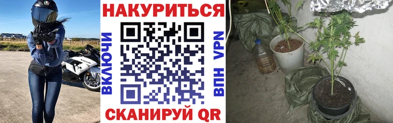 Каннабис Bruce Banner Сковородино